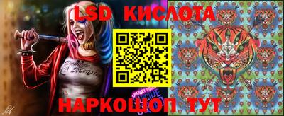 таблы Новозыбков