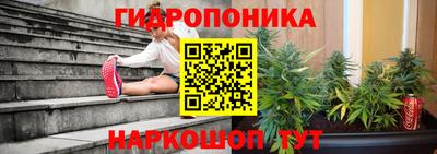 a pvp Новокубанск