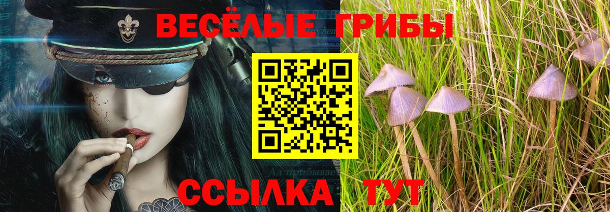 Псилоцибиновые грибы мухоморы Ржев